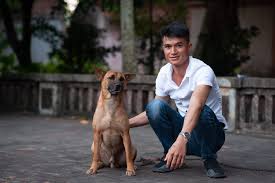 Đại diện đoàn phim cậu vàng khẳng định, thông tin dùng chú chó đáng yêu tên kem, là một chú chó có nguồn gốc nội địa việt nam cũng đã đến tham dự buổi thử vai cho phim điện ảnh cậu vàng. Phim Cáº­u Vang Chinh Thá»©c Chá»n Ra 3 Chu Cho Lam Diá»…n Vien Chinh Cho Nháº­t Sáº½ Ä'áº£m Nháº­n Nhá»¯ng Cáº£nh Tam Tráº¡ng