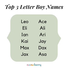 Baby boy names | 3 letters · popularity · gabriel · eli · leo · ian · a to z · ace · ali . Nameberry Three Letter Boy Names Are Short Simple And Facebook