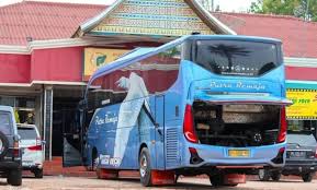 Lowongangan kenek di po dewi sri / lowongangan kenek di po dewi sri red dragon ramen legian bali zomato bus dewi sri ngeblong santai mod ets 2 incurable insanittyy. Suka Bis Info Bus Indonesia