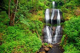 We did not find results for: File Mcdowell Creek Falls Linn County Oregon Scenic Images Linnda0095 Jpg Wikimedia Commons