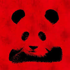 Red Panda By Laura Brightwood Panda Art Art Red Panda