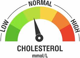 Image result for LDL Cholesterol