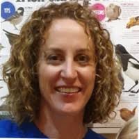 60+ "Harnedy" profiles