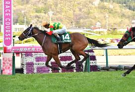 すべて 図書 雑誌 古典籍資料（貴重書等） 博士論文 官報 憲政資料 日本占領関係資料 プランゲ文庫 録音・映像関係資料 歴史的音源 地図 特殊デジタルコレ. 2020å¹´ ç¦å³¶çé¦¬ã¹ãã¼ã¯ã¹ Jra