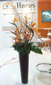 Bird Of Paradise Bouquet Care Pin En Orange Flower Arrangements