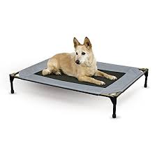 Get an elevated dog bed to lift your dog off the cold floor. 5 Best Raised Dog Beds Elevated Dog Beds Buyers Guide