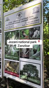 Image result for Burttdavya