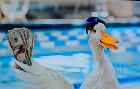 The Aflac Duck Is Holding Money With His Portrait On Them Imgur