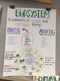 Pin By Mary Amanda On School Fourth Grade Science Science