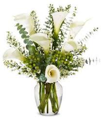 Maybe you would like to learn more about one of these? 260 Flowers Ideas Flower Arrangements Floral Arrangements Flowers