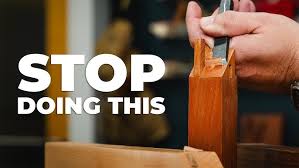 Image result for Inhambanella henriquesii