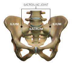Low Back Pain Sacroiliac Pain Aligned For Life