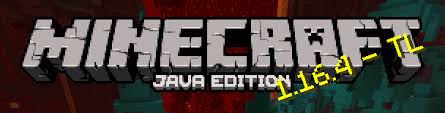 Nevertheless i highly recommend you to update this version. Minecraft 1 16 4 Java Edition Download