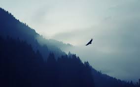 Nature Mountain Eagle Fog Landscape Uhd 4k Wallpaper Hd Wallpapers Hd Backgrounds Tumblr Bac Landscape Wallpaper Mountain Wallpaper Nature Iphone Wallpaper