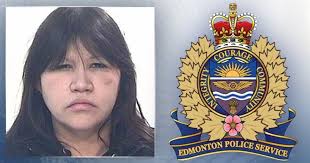 Suspect in violent downtown assaults arrested: police