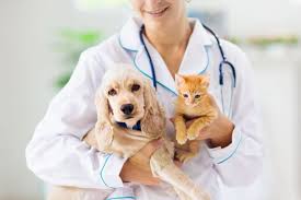 Please choose a different date. Vet Save Irish Veterinary Buying Group For Vets In Ireland