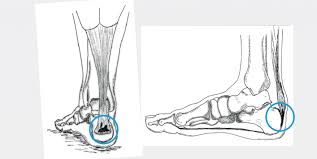 Praxis Leonardo Arzte Fur Orthopadie Und Traumatologie