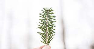How To Become More Humble | Psychology Today