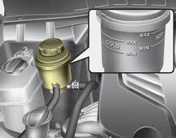 Kia Carnival Checking The Power Steering Fluid Level Power Steering Fluid Maintenance