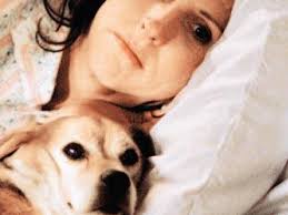 Year of the Dog” lets humans show soft underbellies