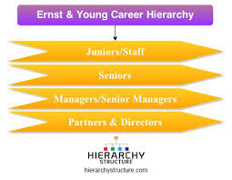 ernst young career hierarchy chart hierarchystructure com