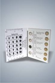 Sand Grain Size Chart Comes With Real Sediment Grains