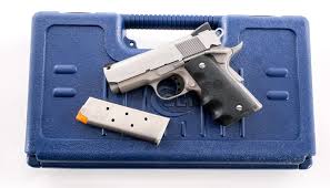 Image result for Light Buckskin 1990 Colt