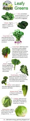 Leafy Green Vegetables Infographic Taher Inc Food Service Green Leafy Vegetable Vegetables Leafy Greens