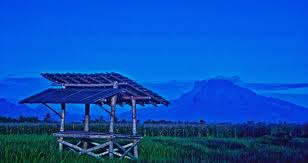 Stream songs including rindu kampung halaman, mana janji itu and more. Rindu Kampung Halaman Home Facebook