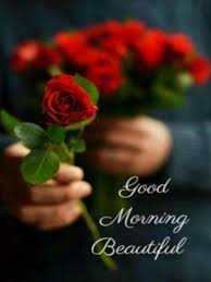 To make your loved ones worst morning to best morning s. Good Morning Flowers Gif Roses 4k Wallpapers Pour Android Telechargez L Apk