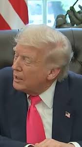 Post by Donna Bliss (@dgblissful)