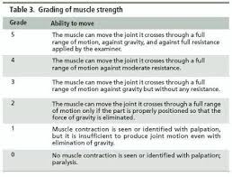 Image Result For Muscle Strength Scale Muscle Power
