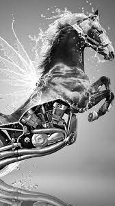 Horse Power Hdnaughtylist