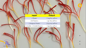 However, due to seasonality and limited availability of certain types of flowers by international florists, we have limited our assortment. What Is The Saffron Flower The Saffron Company