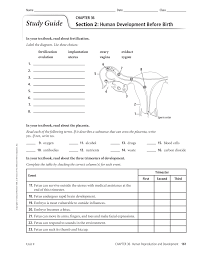 Study Guide Reproductive Systems Flip Ebook Pages 1 4 Anyflip Anyflip