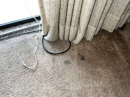 Willow Seward ❁ (@WillowSeward)