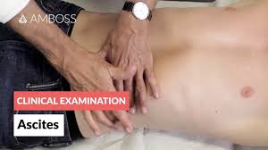 Image result for Fluid Wave Test