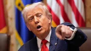 Bundaberg Ability Ball 2022