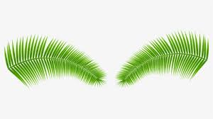 Tropical banana leaves, in kind, leaf wallpaper png . Tropical Leaves Png Images Free Transparent Tropical Leaves Download Kindpng