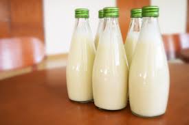 Before we talk about a2 cow milk brands in india, let us know about india's cows. Details About The A2 Cow Milk Brands In India