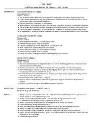 operations clerk resume samples