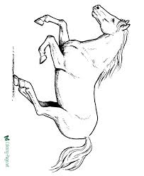 Download multiple horse coloring pages to create your own adult. Horse Coloring Pages
