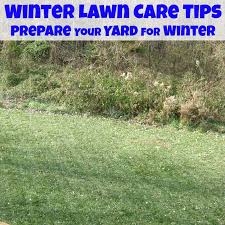 That being said, it all depends on if the guy taking care of your lawn cares or not. Winter Lawn Care Tips From Trugreen Organized 31