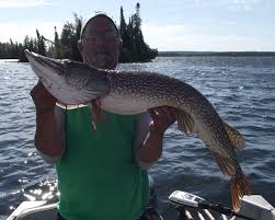 Maybe you would like to learn more about one of these? Johnson Silver Minnow Wawang Lake Resort