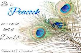Birds Of A Feather Saying Peacock Sayings Quotes Quotesgram Peacock Quotes Feather Quotes Peacock
