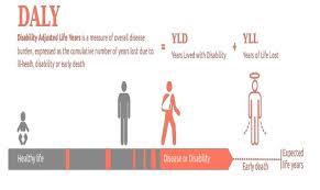 Daly Disability Adjusted Life Years Public Health Notes