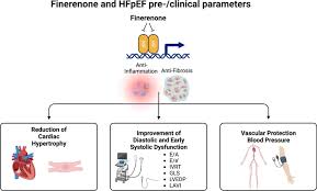 Image result for Finerenone