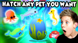 Feel free to contribute the topic. How To Always Hatch A Shark From Ocean Egg In Adopt Me Trying New Tiktok Adopt Me Hacks 2021