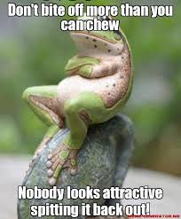 Don T Bite Off More Than You Can Chew Quotes Don T Bite Off More Than You Can Chew Nobody Looks Attractive Spitting It Back Out Funny Animals Funny Animal Pictures Cute Animals
