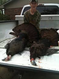 Profile for Antler Assassins